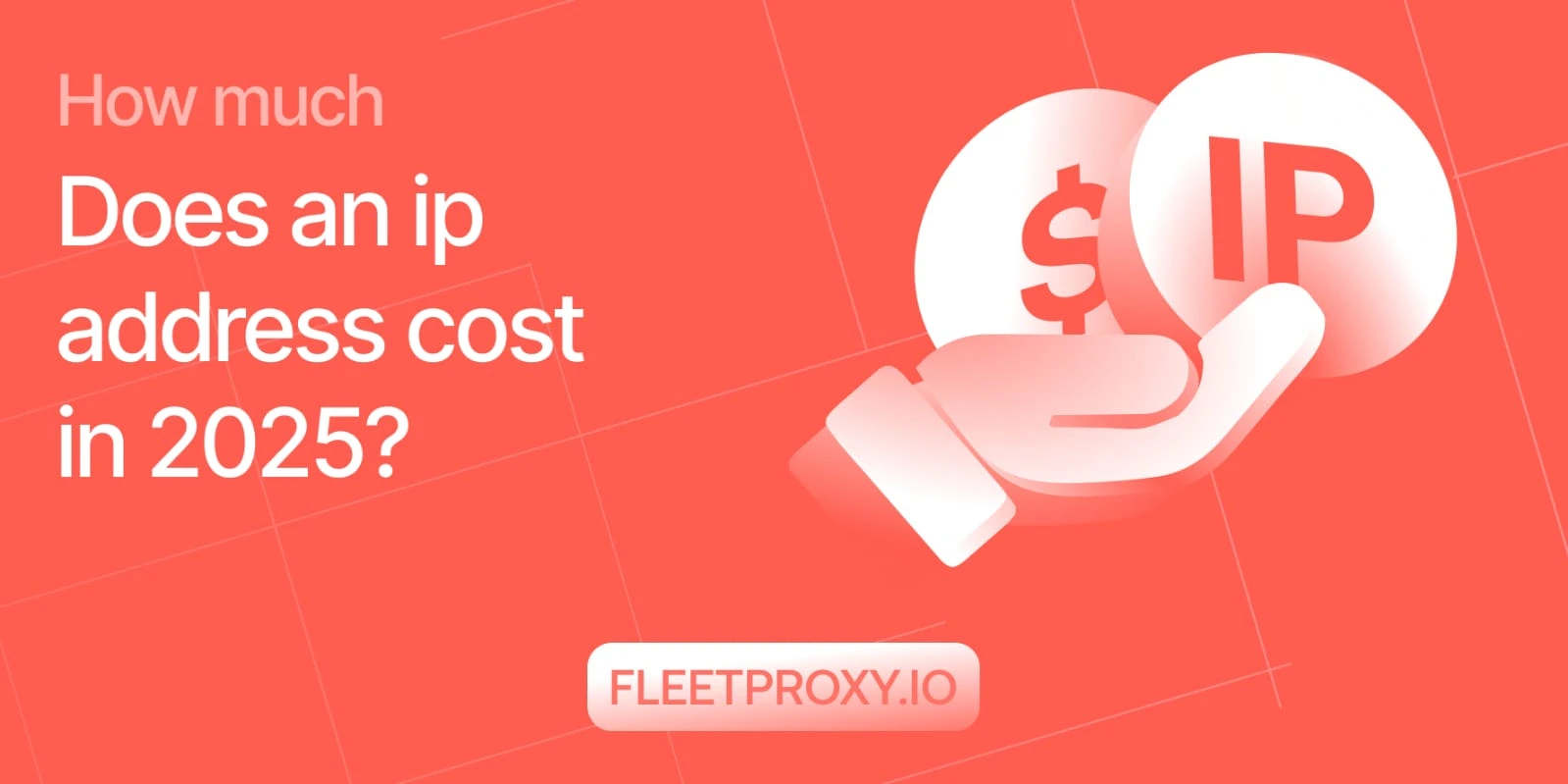 How much does an IP address cost in 2025?
