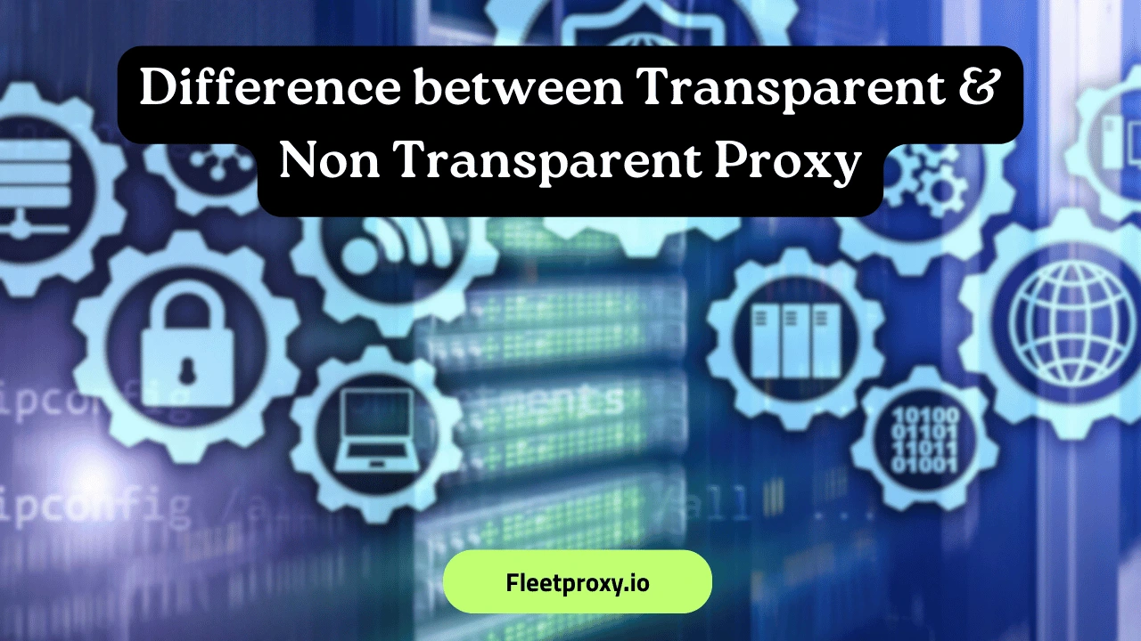Non Transparent Proxy Server