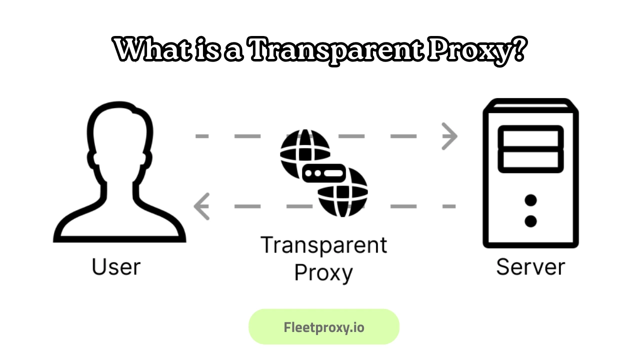 What is a Transparent Proxy?
