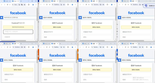 fleetproxy and bitbrowser